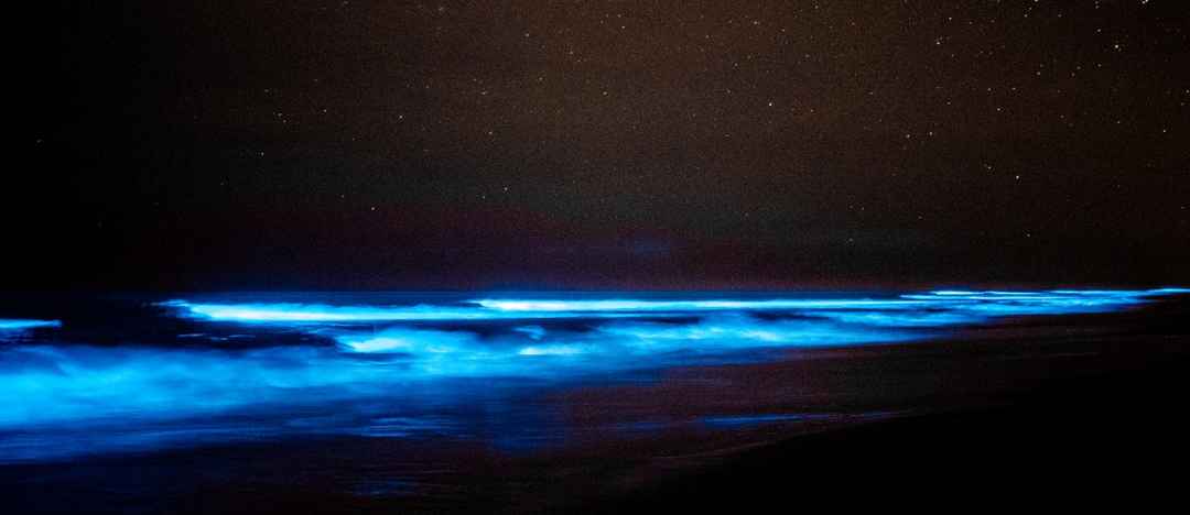 Bioluminescence observed at coastal line of Udupi district – Mangalore ...